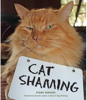 Cat Shaming