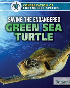 Saving the Endangered Green Sea Turtle
