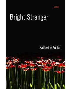 Bright Stranger: Poems