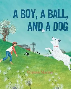A Boy, a Ball, and a Dog