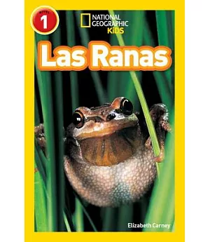 Las Ranas / Frogs
