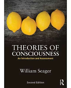 Theories of Consciousness: An Introduction and Assessment