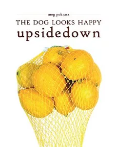 The Dog Looks Happy Upside Down