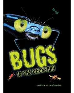 Bugs in the Backyard