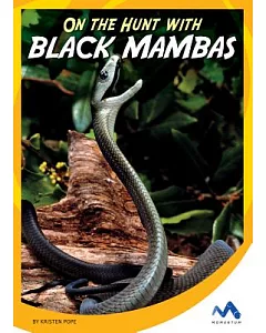 On the Hunt With Black Mambas