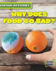 Why Does Food Go Bad?