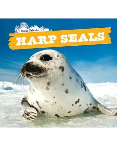 Harp Seals