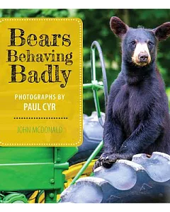 Bears Behaving Badly