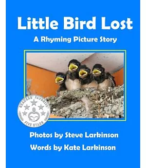 Little Bird Lost: A Rhyming Picture Story