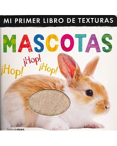 Mi primer libro de texturas mascotas/ My First Touch and Feel Pets