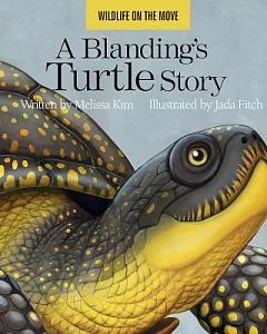 A Blanding’s Turtle Story