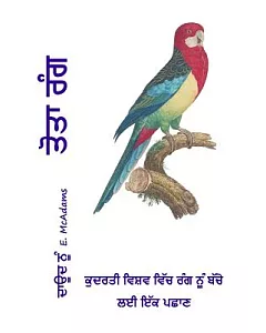 Parrot Colors (In Punjabi): A Child’s Introduction to Colors in the Natural World.