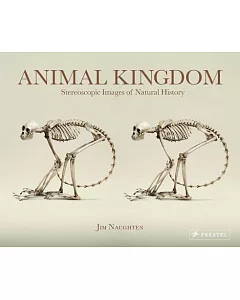 Animal Kingdom: Stereoscopic Images of Natural History, Includes Stereoscopic Viewer