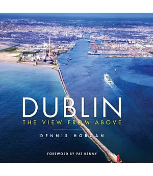 Dublin: The View from Above