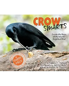 Crow Smarts: Inside the Brain of the World’s Brightest Bird