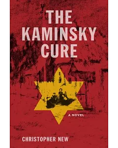The Kaminsky Cure