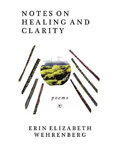 Notes on Healing and Clarity: Poems