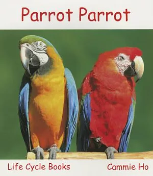 Parrot Parrot