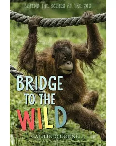 Bridge to the Wild: Behind the Scenes at the Zoo
