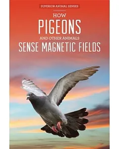 How Pigeons and Other Animals Sense Magnetic Fields