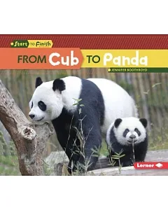 From Cub to Panda