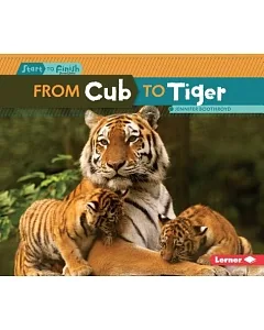 From Cub to Tiger