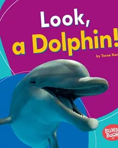 Look, a Dolphin!