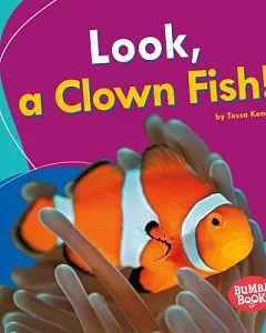 Look, a Clown Fish!