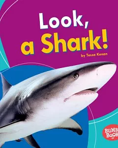 Look, a Shark!