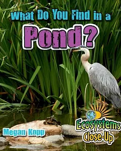 What Do You Find in a Pond?