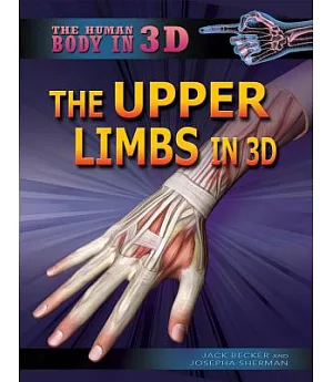 The Upper Limbs in 3D