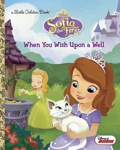 When You Wish upon a Well