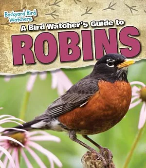A Bird Watcher’s Guide to Robins