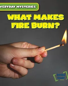 What Makes Fire Burn?