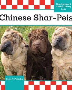 Chinese Shar-Peis