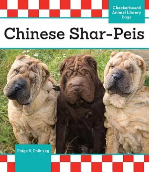 Chinese Shar-Peis