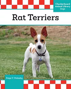 Rat Terriers