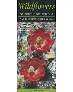 Wildflowers of Southeast Arizona: A Guide to Common Native Species