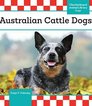 Australian Cattle Dogs