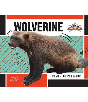 Wolverine: Powerful Predator