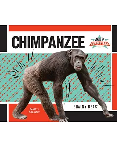 Chimpanzee: Brainy Beast