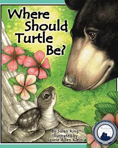Where Should Turtle Be