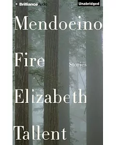 Mendocino Fire