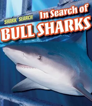 In Search of Bull Sharks