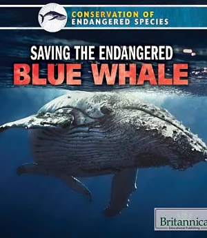 Saving the Endangered Blue Whale