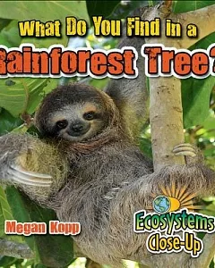 What Do You Find in a Rainforest Tree?