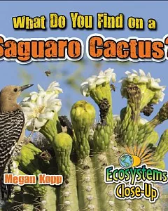 What Do You Find on a Saguaro Cactus?