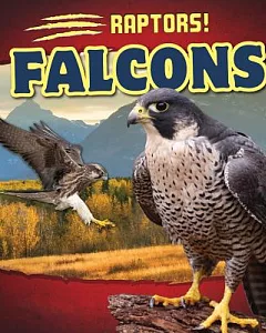 Falcons