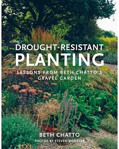 Drought-Resistant Planting: Lessons from Beth chatto’s Gravel Garden