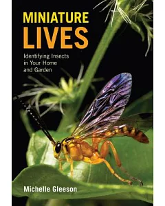Miniature Lives: Identifying Insects in Your Home and Garden